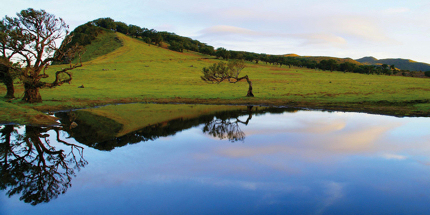 Explore unspoilt Madeira